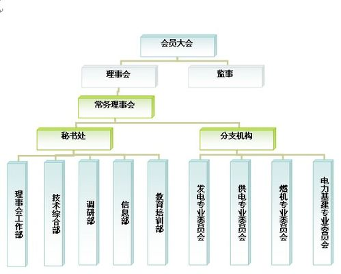 湖南棋协,棋类运动发展的重要推手-组织结构与活动解析