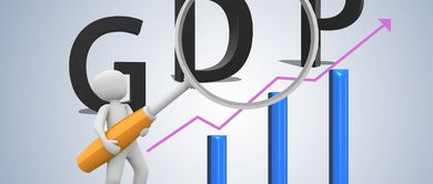 湖南GDP注水现象及其影响-原因与对策分析