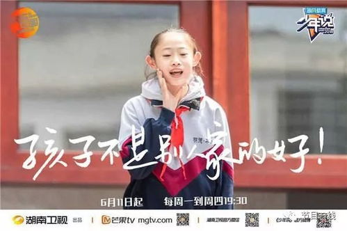 湖南卫视营销策略分析与成功要素解读