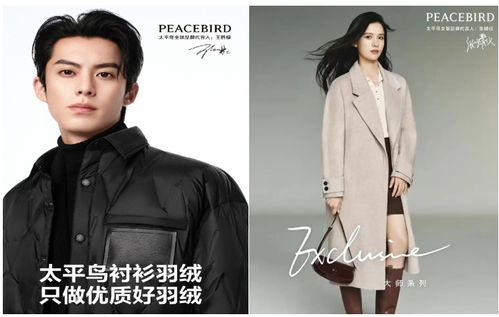 湖南太平鸟,中国时尚产业的新星-品牌魅力解读