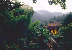 湖南桐木,自然与文化宝藏-探索与旅游开发解析