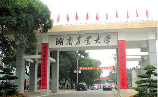 包裹）
湖南农业大学 分院介绍-专业设置与教育资源详析