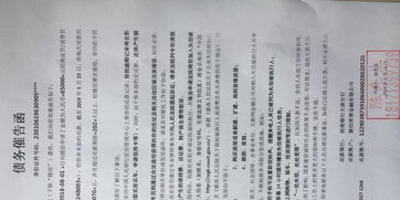 引言：私人催債公司的興起