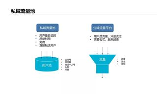 一、私sf网站的风险与隐患