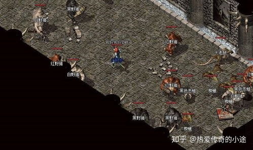 传奇sf服网站,全面解析与选择指南-打造优质游戏体验