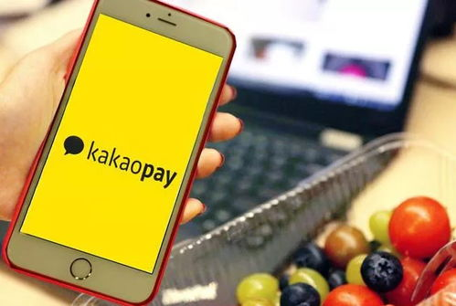 一、了解kakao平台