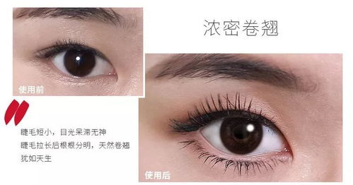 一、了解ads彩妆盘的基本构成