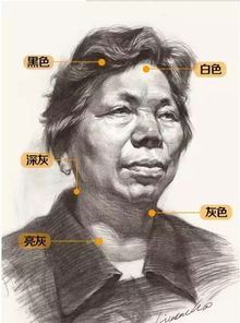 一、彩妆素描图的基础知识