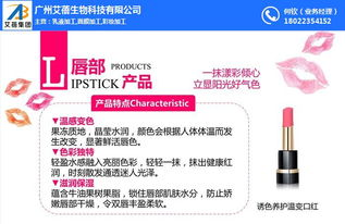 一、代加工彩妆企业的市场定位