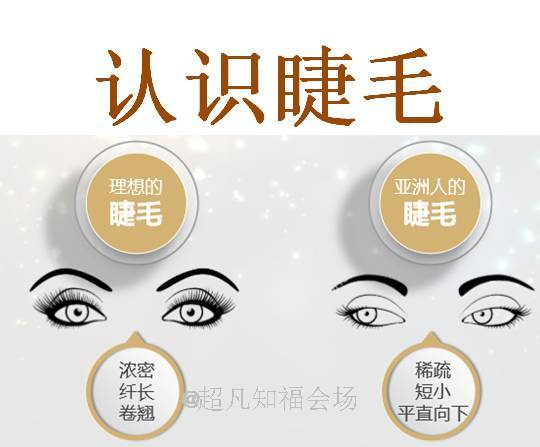 一、彩妆入门基础知识