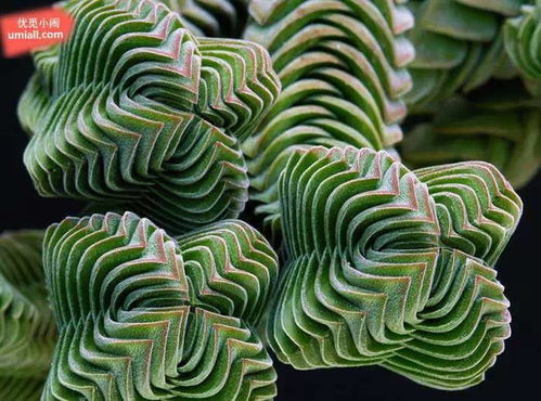 一、植物彩妆的天然优势