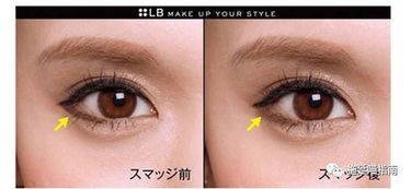 一、日本彩妆店假睫毛的分类与特点