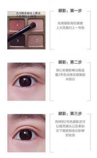 一、了解tst彩妆盘的组成与特点