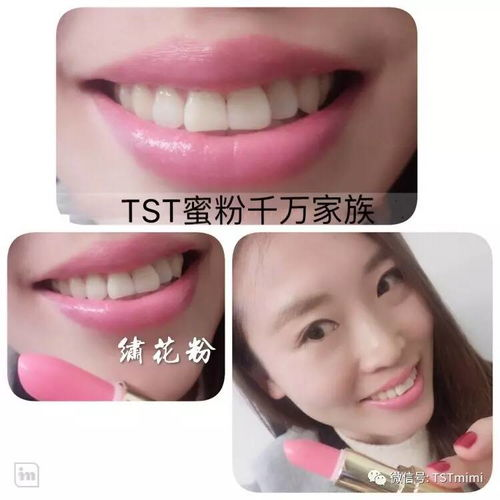 一、认识tst彩妆盘的组成部分