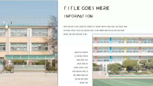 一、学校背景与课程设置