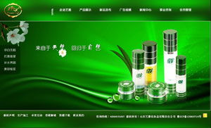 一、彩妆化妆品厂家的市场现状