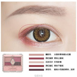 一、背景图片与彩妆产品的关联性