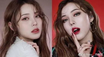 一、微蛋彩妆的基础认识
