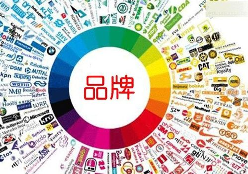 一、了解品牌定位与风格