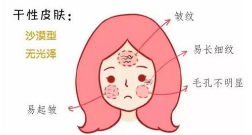 一、了解干性皮肤的特点与需求