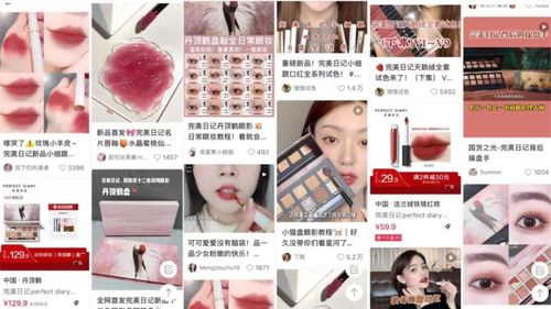 一、完美日记彩妆品牌概述