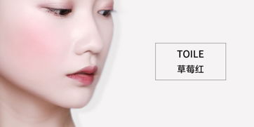 一、千千氏彩妆品牌概述
