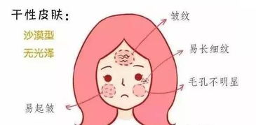 一、了解自己的肤质与需求