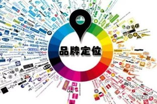 一、了解品牌定位与目标市场