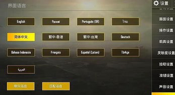 一、什么是吃鸡国际服辅助卡盟?