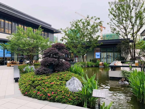 币安官网电脑版的概述与核心功能
