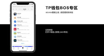 tp钱包查询新上币种方法解析-便捷操作指南