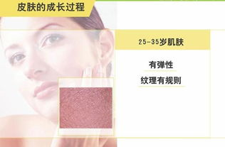 一、了解皮肤类型与抗皱需求