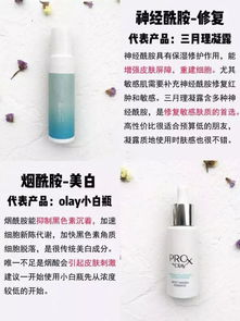 一、了解身体护肤品的类型与成分