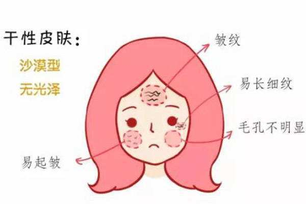 一、了解混合性皮肤特性