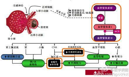 一、功效型护肤品的分类与作用原理