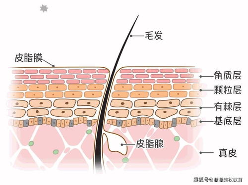 一、产品成分与护肤原理