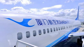 一、了解航空公司规定