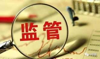 行業(yè)規(guī)范與監(jiān)管