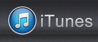 一、iTunes手机版简介