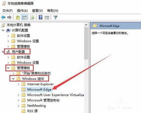 一、为什么选择Adobe安卓应用