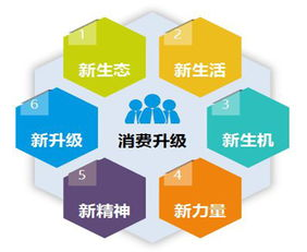 一、服务覆盖范围对比