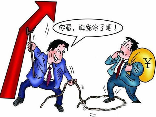 一、初入股市，谨慎学习