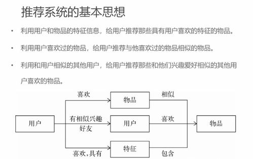 一、版本概述与特点