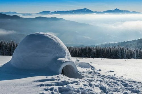 一、雪花精灵的诞生地：北极村的秘密角落