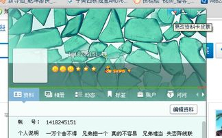 一、资料卡皮肤的概念与重要性
