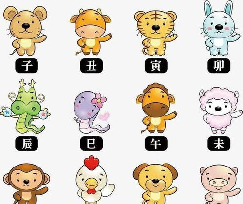 一、十二生肖介绍与选择