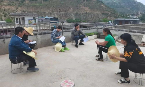 一、团队配置与职业选择