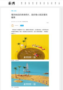 一、依卡劳特技术概述