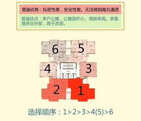 一、植物选择与布局策略