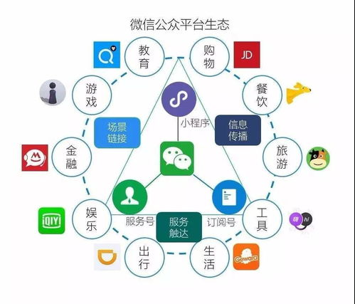 抖音账号永久封禁自救指南：从申诉技巧到预防措施全解析【抖音代举报】